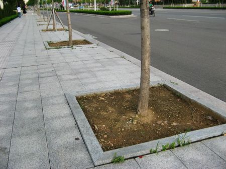 五蓮花火燒板