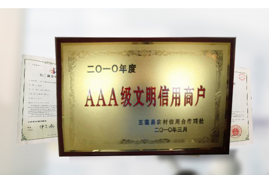 多項(xiàng)榮譽(yù)資質(zhì)